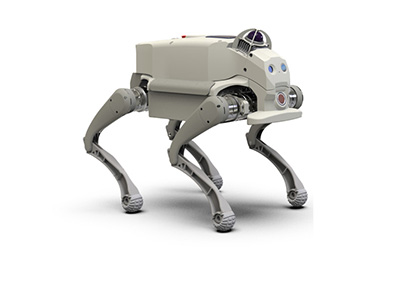 四足機(jī)器狗，四足機(jī)器人
